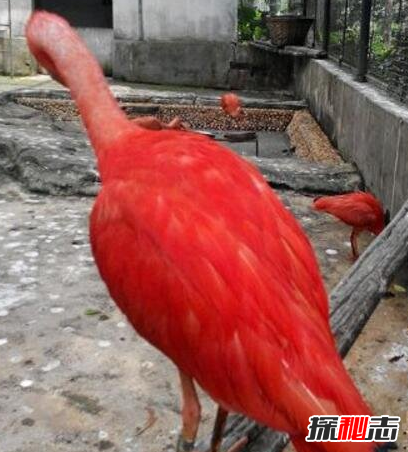 �Ĵ�������Ĵ��ڹ���?ȷʵ�����ĵ����Ĵ�������?