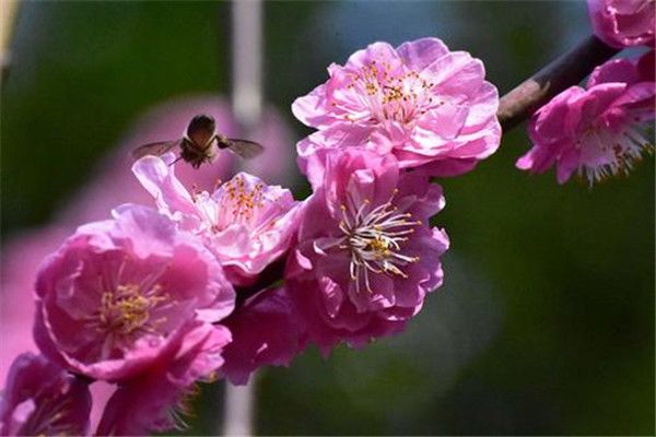 �ػ�����,Ī���������˼���� ������ĳ�����ʲô