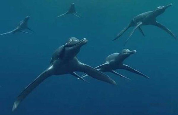 海洋霸主排名前十,实力排名 今海洋最顶级掠食者