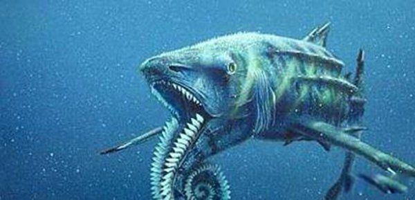 海洋霸主排名前十,实力排名 今海洋最顶级掠食者