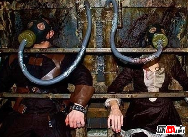 ������ֲ��Ĺ�������ǰ�� ��һ�������Ҿ���Ժ�����ж�����
