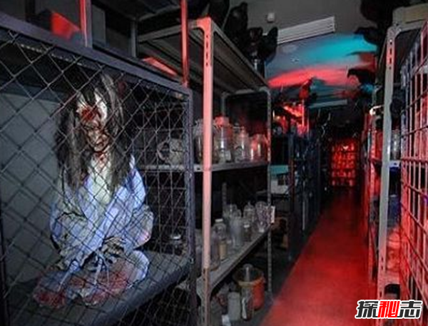 ������ֲ��Ĺ�������ǰ�� ��һ�������Ҿ���Ժ�����ж�����