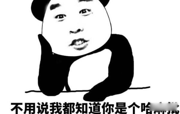 ��Ȧ����dp��ʲô��˼ ����dp��������������Щ