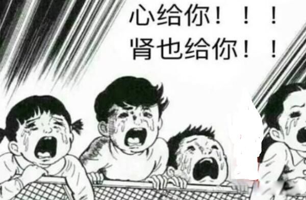 ��Ȧ����dp��ʲô��˼ ����dp��������������Щ