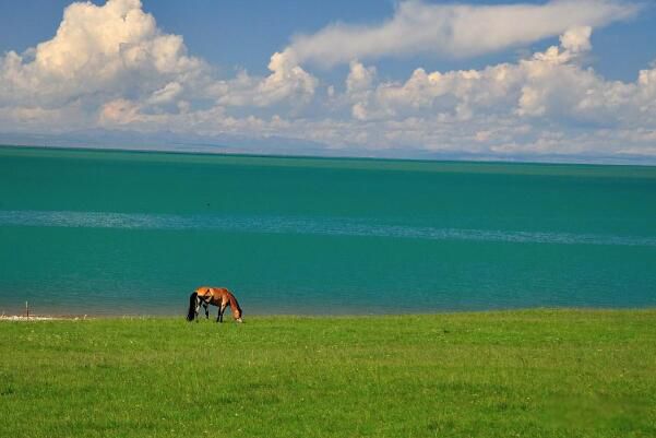 最大咸水湖是什么湖?中国 青海湖几月份去最好