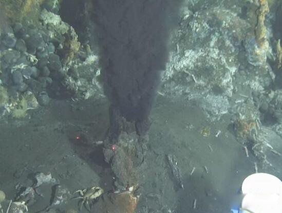 蛟龙号在深海看到了什么怪物 蛟龙号马里亚纳海沟6699米处抓拍