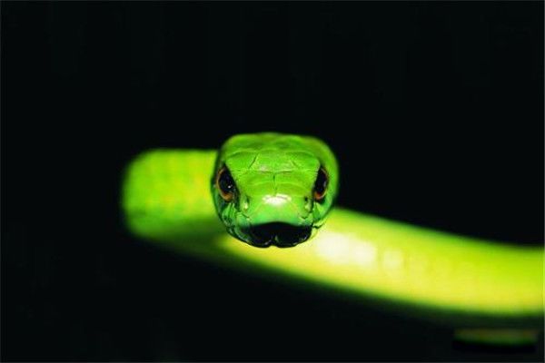 �����������������1687���� ���������ܻ������