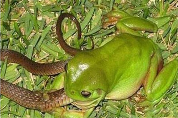 ʲô ôȴ˵ı뺷