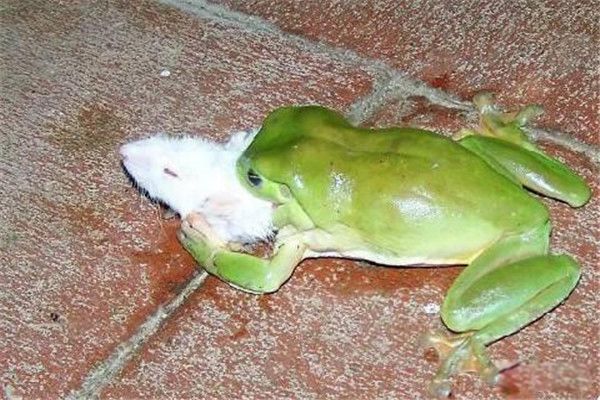 ������ʲô���� ������ô��ȴ��˵ı뺷����