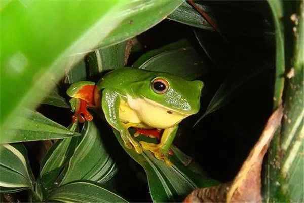 ������ʲô���� ������ô��ȴ��˵ı뺷����