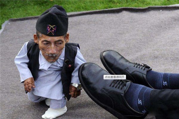 ��С�����೤ʲô�� 5��ȫ����С�������̵�