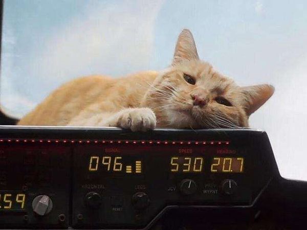 ��Ԫ����ʲô�����ս���� ���ȥ����?Ϊʲôץ�ֳ��۾�