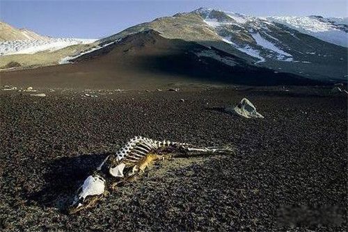 中国灵异地方排行榜前十名 恐怖死亡谷:黑竹沟神秘事件