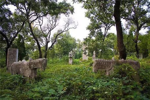 中国灵异地方排行榜前十名 恐怖死亡谷:黑竹沟神秘事件