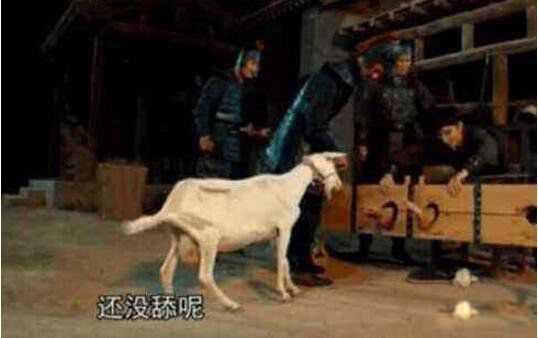 笑刑挠脚心是怎么回事 欧洲笑刑是一种怎样的刑罚