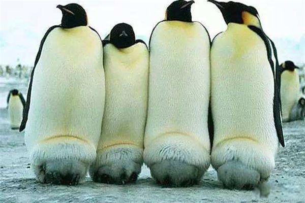�ʵ������ʲô��� ������������ж��
