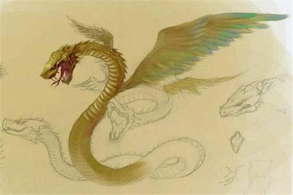 山海经被证实的物种 山海经里面的生物都是真的吗