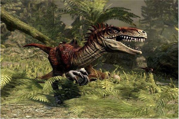 �޳���������ͼƬ �޳�����ʳ�ݻ���ʳ��