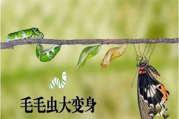 ëëɺĹ ëëص