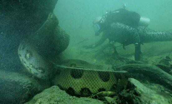 海底一万米是什么样子的 里面到底有什么神秘生物有多可怕