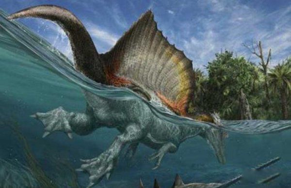 棘背龙和霸王龙谁厉害 棘背龙vs雷克斯霸王龙哪个厉害