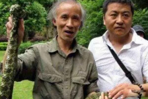 莽山烙铁头蛇是国家几级保护动物 莽山烙铁头蛇是谁发现的