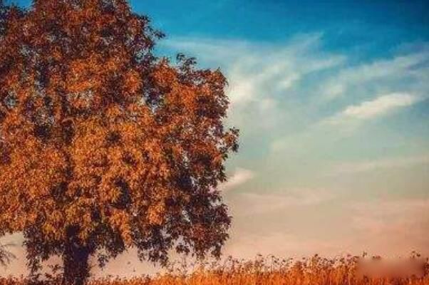 什么是人心不古 现代人没有古代人醇厚的原因