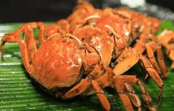 螃蟹的眼睛是单眼还是复眼 关于螃蟹的知识有哪些