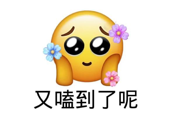 kswl什么意思网络用语 饭圈用语kswl的梗表达什么