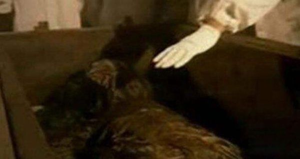 ǧ��Ůʬ����14��ŮӤ�¼� ǧ��Ůʬ���»�̥�������