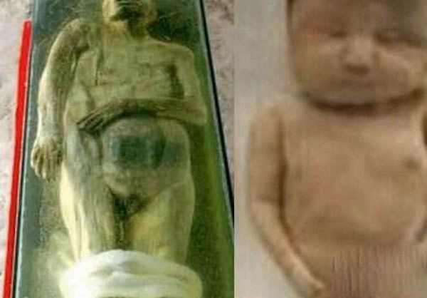 ǧ��Ůʬ����14��ŮӤ�¼� ǧ��Ůʬ���»�̥�������