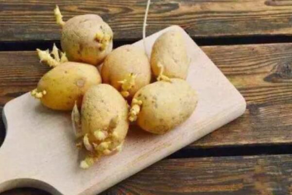 土豆发芽了还可以吃吗 发芽土豆切掉发芽部分还能吃吗