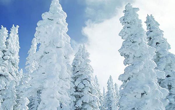 雪是怎么形成的 干雪与湿雪有何区别呢