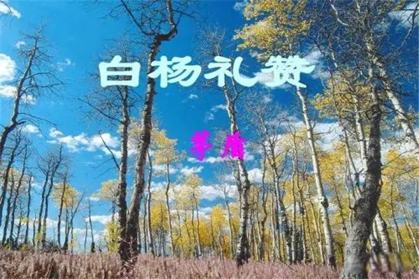 矛盾的作品代表作 五大作品直面现实,直达心灵