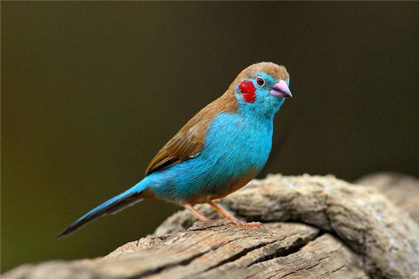 �������ȸ�ص����� �������ȸ��ô����