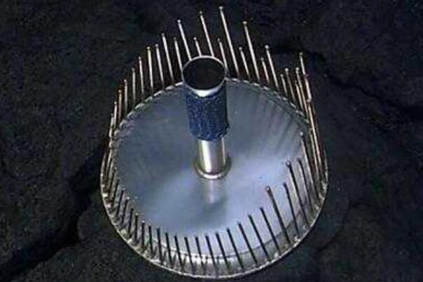 waterphone�������ж�ֲ� ˮ��Ϊʲô����Ϊ��ֲ���������������