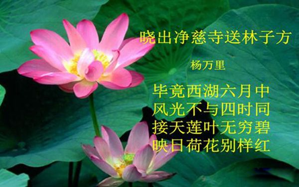 杨万里简介哪个朝代的 了解杨万里的资料