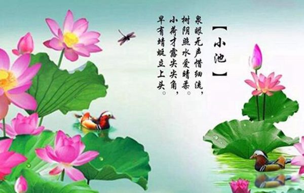 杨万里简介哪个朝代的 了解杨万里的资料