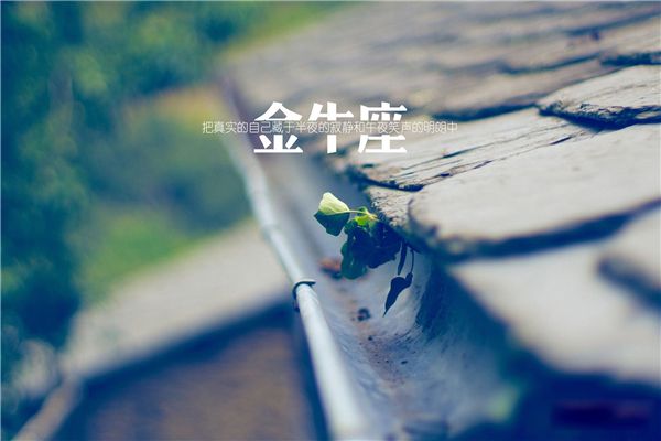 ʮ������˭����ֵ��� ʮ�����������˭������