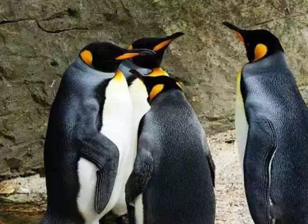 һ��һ�޵Ķ�������Щ ������һ��һ�޵Ķ�������ǰʮ