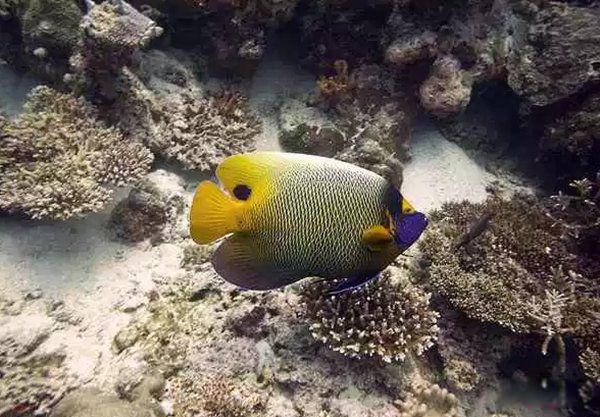 һ��һ�޵Ķ�������Щ ������һ��һ�޵Ķ�������ǰʮ