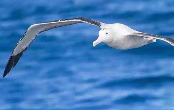 һ��һ�޵Ķ�������Щ ������һ��һ�޵Ķ�������ǰʮ