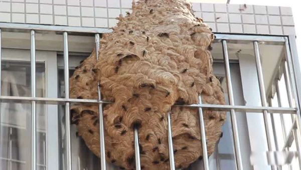 �����ѷ�ˮѧ���� �����������ѷ�ˮ�ò���