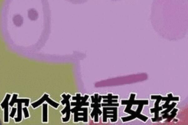 猪精女孩是什么意思网络语言 猪精女孩是贬义词吗