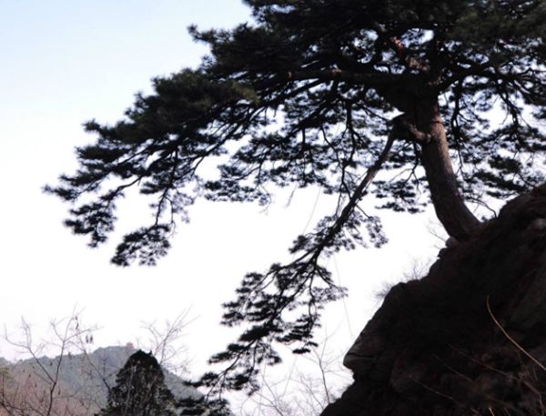 情侣爬泰山真的会分手吗 为什么不建议情侣爬泰山