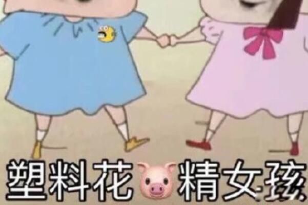 猪精女孩是什么意思网络语言 猪精女孩是贬义词吗
