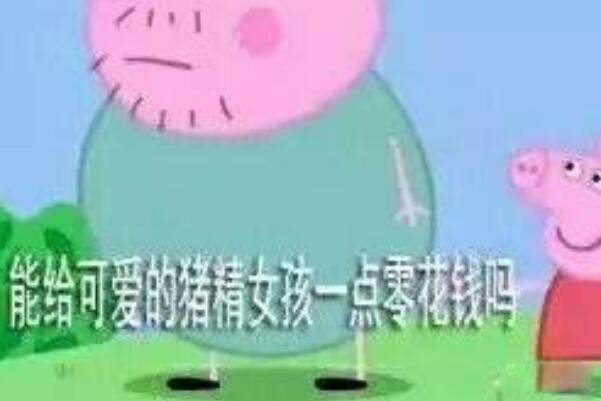 猪精女孩是什么意思网络语言 猪精女孩是贬义词吗