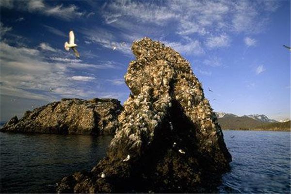 �ȸ��ͼ�ϵĿֲ��������� 10���ڹȸ��ͼ�Ϸ��ֵĹ��쳡��