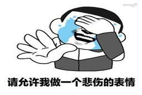 请允许我做一个悲伤的表情是什么意思 不行我忍不住了图片出处