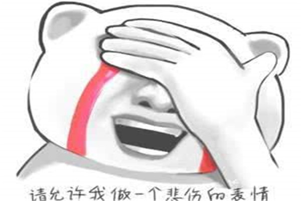 请允许我做一个悲伤的表情是什么意思 不行我忍不住了图片出处